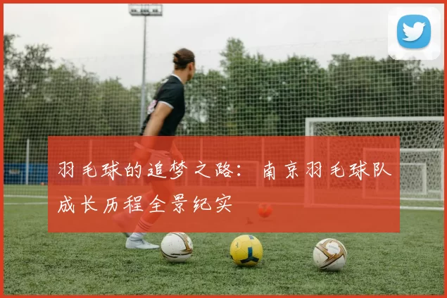 羽毛球的追梦之路：南京羽毛球队成长历程全景纪实