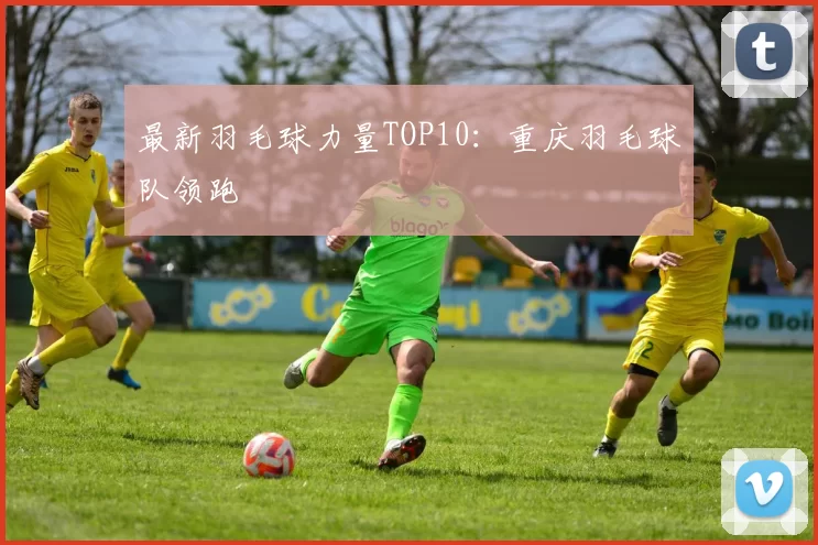 最新羽毛球力量TOP10：重庆羽毛球队领跑
