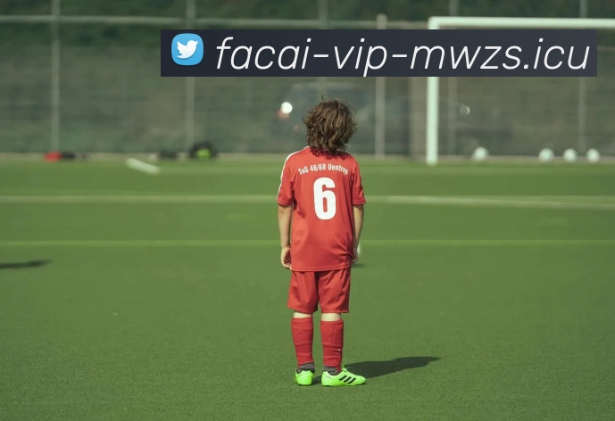 爱游戏体育品牌故事