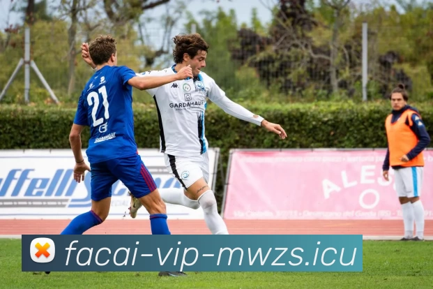 爱游戏体育服务体系